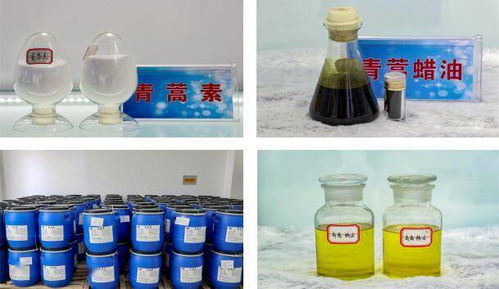 天源醫(yī)藥集團