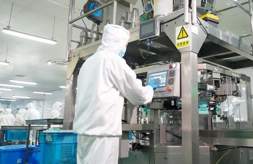 江蘇 它經(jīng)濟 崛起,萌寵引領產(chǎn)業(yè)新藍海