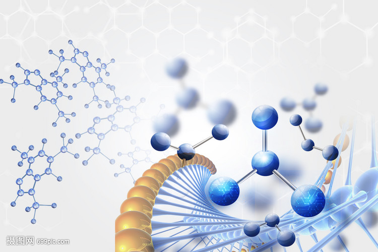 生物分子的結(jié)構(gòu)與功能 生命科學的基石
